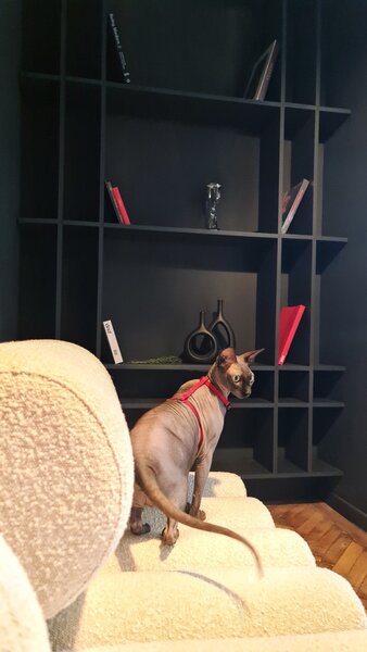 Spatiu birouri  de inchiriat . 43 mp